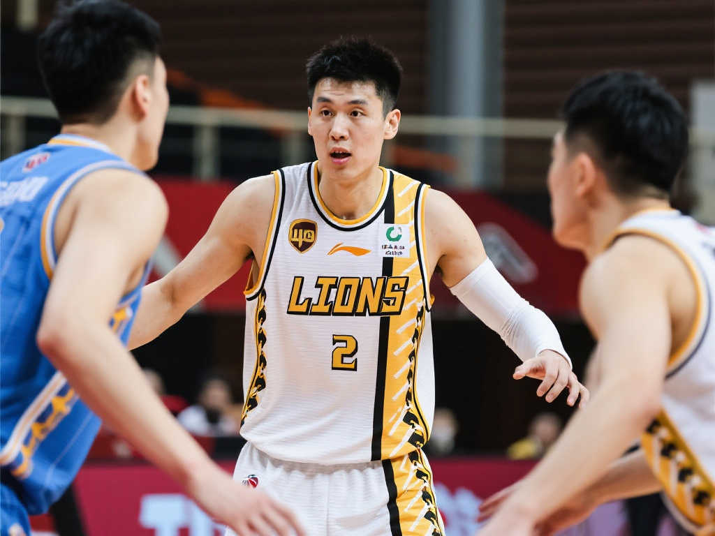 在过去几个 在过去几个