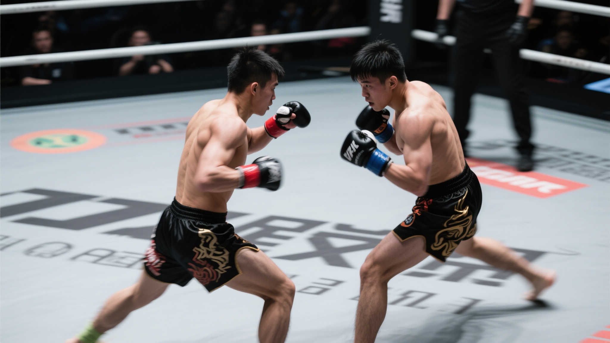 战术上的调 战术上的调